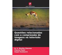 Questões relacionadas com a compressão de imagens na televisão digital