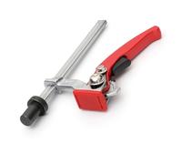 Quick Acting Hold Down Clamp, Chrome Alloy Steel Workbench Clamp with MultiAngle Clamping, 160mm Clamping Distance, for Woodworking Benches (19mm)