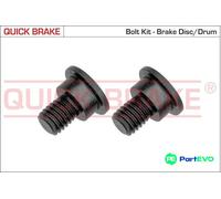 QUICK BRAKE BRAKE DISC SCREW SET 11662K FOR BMW MINI LAND ROVER