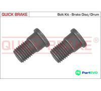 QUICK BRAKE BRAKE DISC SCREW SET 11666K FOR ALFA ROMEO OPEL SAAB VAUXHALL