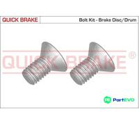 QUICK BRAKE BRAKE DISC SCREW SET 11669K FOR MINI LAND ROVER