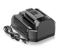 Quick Charge Replacement for EGO 56V CH2100 Battery Charger, Compatible with EGO 56V Batttery BA2800 BA4200 BA1400, for EGO Power+ CH2100 56V Lithium-ion Standard Charger