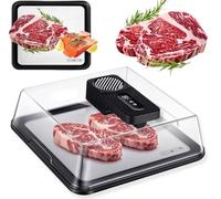 Quick Defrosting Tray for Frozen Meat, Rechargeable Thawing Machine with Intelligent Controller, USB Lid for Camping and Kitchen Use, Efficient Thawing Solution