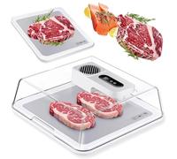 Quick Defrosting Tray for Frozen Meat, Rechargeable Thawing Machine with Intelligent Controller, USB Lid for Camping and Kitchen Use, Efficient Thawing Solution