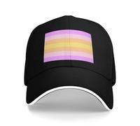 Quick Dry Mesh Cap Panfluid Pride Flag LGBTQ Baseball Hats Adjustable Baseball Cap for Workout Golf Travel