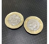 QUICK PICK MAGIC Double Sided Coin Pair Double Heads + Double Tailed One Pound. Same Date on both sides.