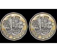 QUICK PICK MAGIC Double Tailed New 12 Sided Pound - Tails On Both Sides - Double Sided Coin Trick