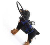 Quick Setup Assistance Collar for Sightless Dogs M Size Avoids Accidents Outdoor Confidence Comfortable Head Guard for Visually Impaired Canines Fabric Shield Prevents Injuries Home Exploration