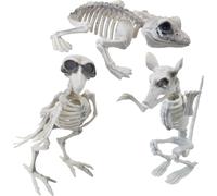 Quickdraw Skeleton Animals - Pack of 3 Skeletal Animal Props - Bird Rat and Frog - Scary Decorations with Posable Joints For Halloween Parties