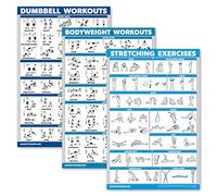 QuickFit 3 Pack - Dumbbell Workouts + Bodyweight Exercises + Stretching Routine Poster Set - Set of 3 Workout Charts (Laminated, 18" x 27")