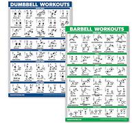 QuickFit Dumbbell Workouts and Barbell Exercise Poster Set - Laminated 2 Chart Set - Dumbbell Exercise Routine & Barbell Workouts (18" x 27")