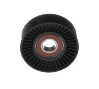 Quicksilver Serpentine Belt Idler pulley 8M6500024