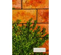 Quiet Field Rooted in Simple Days: A Grounded Notebook for Steady Writing, Reflection, and Everyday Balance