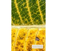 Quiet Field: Turning Light: A Notebook for Growth, Change, and Everyday Reflections