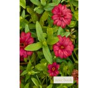 Quiet Field Where Bright Moments Bloom: A Gentle Notebook for Joyful Writing, Reflection, and Everyday Growth