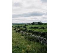 Quiet Fields: A Lined Journal for Reflection, Peace, and Everyday Writing