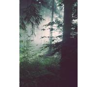 Quiet Forest Notebook: Minimalist Blank Journal for Peaceful Writing & Reflection