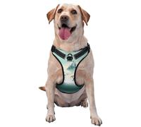 Quiet Landscape Medium Printed pet Traction Vest for Pets to wear When Walking The Dog or Climbing Mountains