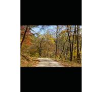 Quiet Strength After Loss: Finding Peace and Clarity After Grief