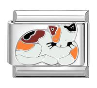 Quiges - 9mm Italian Style Charm Link Module Stainless Steel Cat for Italian Style Bracelets