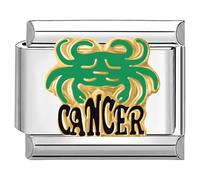 Quiges - 9mm Italian Style Charm Link Module Stainless Steel Horoscope Cancer for Italian Style Bracelets