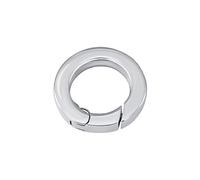 Quiges Clip Ring Carrier Silver 17 mm Stainless Steel Connector for Necklace and Coin Pendant with Push Gate Clasp