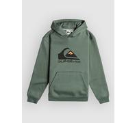 Quiksilver Big Logo Kids Hoodie laurel wreath T12