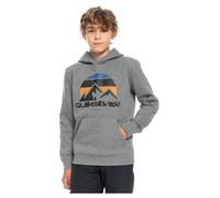 Quiksilver Big Logo Snow Sweatshirt Grey 10 Years Boys