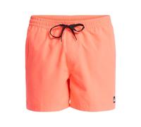 Quiksilver Boardshorts Everyday Solid Volley 15 Men Pink L
