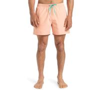 Quiksilver Boardshorts Everyday Solid Volley 15 Men Pink S