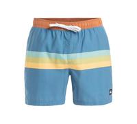 Quiksilver Boardshorts Everyday Straight Volley 15 Men Blue L