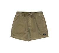 Quiksilver Boardshorts Everyday SURFWASH Volley 15 Men Beige XS