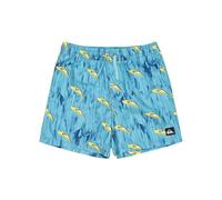 Quiksilver Boardshorts Next GEN Volley YTH 14 Youth Blue 14