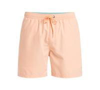Quiksilver Boardshorts SPL Fineline Volley 15 Men Pink XL