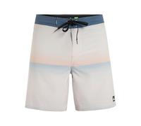 Quiksilver Boardshorts SURFSILK Straight Leg 18 Men Grey 30