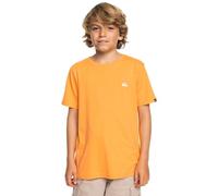 Quiksilver Boys Basic Tee Youth T-Shirt, Blazing Orange, 16 Years EU