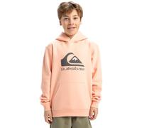 Quiksilver Boys Big Logo Hoodie Youth Pullover Sweater, Peach Parfait, 10 Years EU