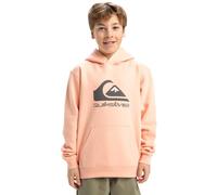Quiksilver Boys Big Logo Hoodie Youth Pullover Sweater, Peach Parfait, 12 Years EU