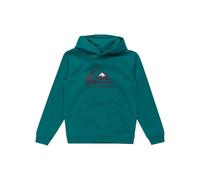 Quiksilver Boys Big Logo Hoodie Youth Pullover Sweater, Teal Green, 14 Years EU