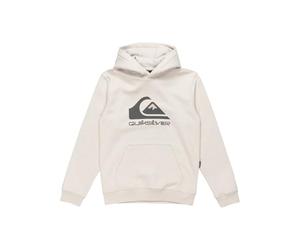 Quiksilver Boys Big Logo Hoodie Youth Pullover Sweater, Wind Chime, 16 Years EU