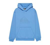 Quiksilver Boy's Comp Logo Hoodie Youth Pullover Sweater (pack of 1)