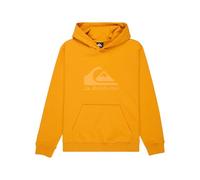 Quiksilver Boy's Comp Logo Hoodie Youth Pullover Sweater (pack of 1)