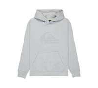 Quiksilver Boys Comp Logo Hoodie Youth Pullover Sweater, Micro Chip, 8 Years EU