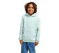 Quiksilver Hoodie COMP LOGO HOODIE YOUTH Boys Blue