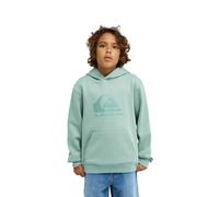 Quiksilver Boy's Comp Logo Hoodie Youth Pullover Sweater (pack of 1)