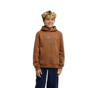 Quiksilver Hoodie COMP LOGO HOODIE YOUTH Boys Brown