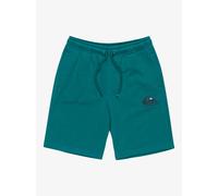 QUIKSILVER - Boys Easy Day Elastic Waist Shorts - Teal Green - Casual Shorts