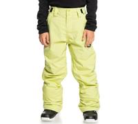 Quiksilver Boy's Estate Youth Pt Pants
