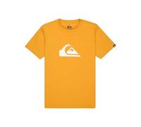 Quiksilver Boy's Ev Comp Logo Ss Youth T-Shirt, Mineral Yellow, 12 Years