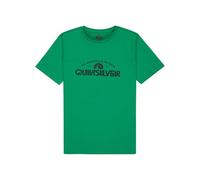 Quiksilver Boy's Ev Corpo Classic Youth T-Shirt, Leprechaun, 12 Years
